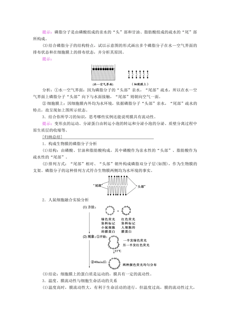 高中生物 第4章 细胞的物质输入和输出 第2节 生物膜的流动镶嵌模型学案 新人教版必修1-新人教版高一必修1生物学案_第3页