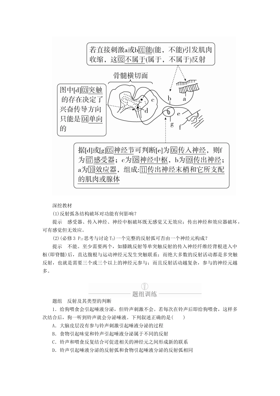 高考生物一轮复习 第8单元 生命活动的调节 第25讲 通过神经系统的调节学案（含解析）（必修3）-人教版高三必修3生物学案_第2页