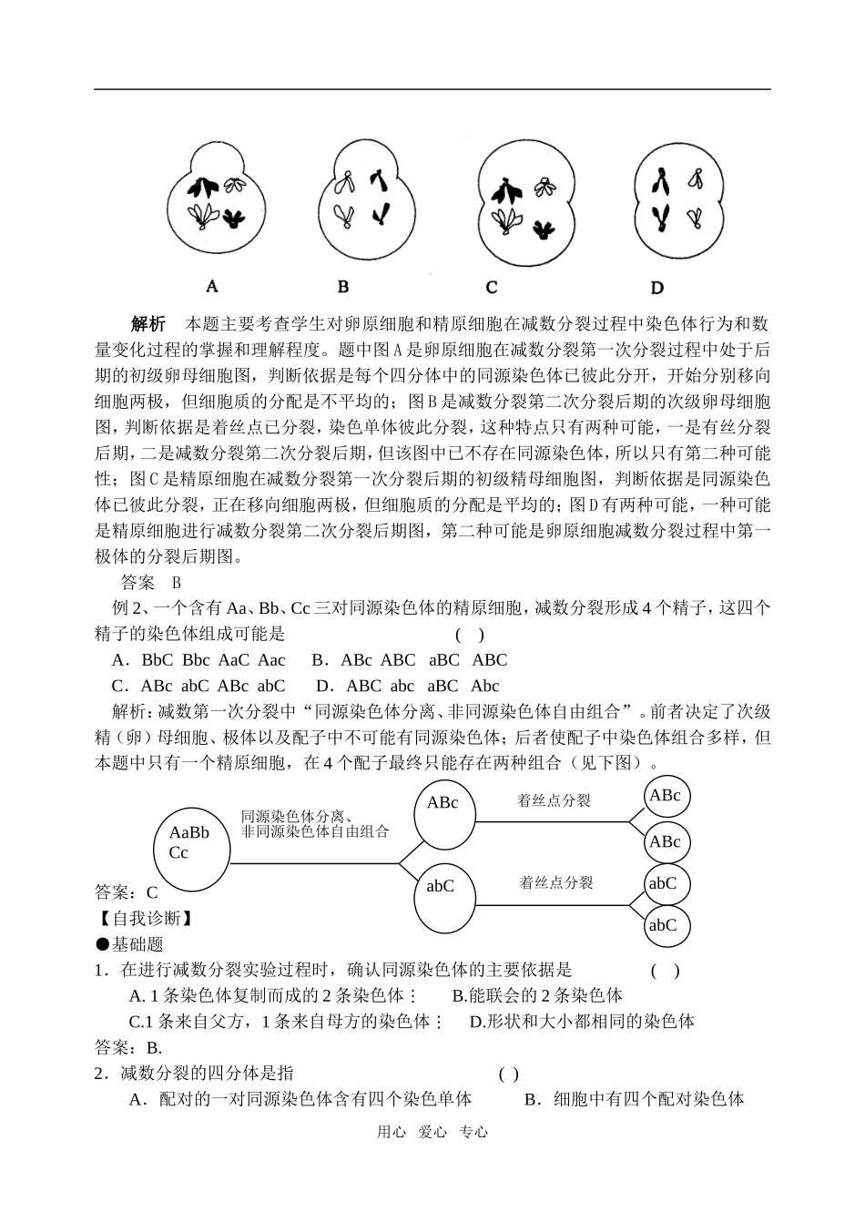第03课时第2章第1节减数分裂和受精作用（一）_第3页