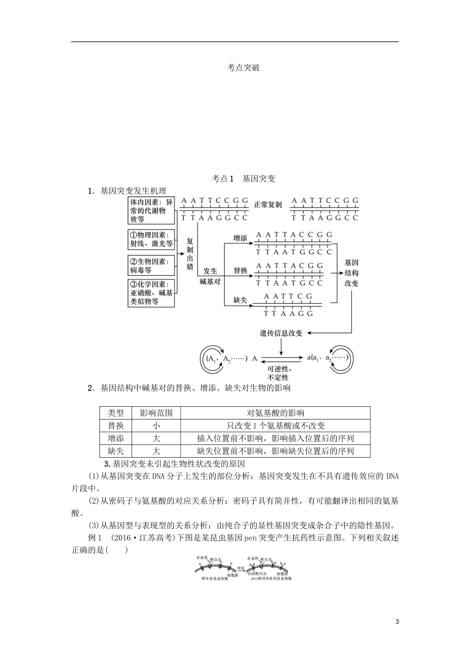（江苏专用）高考生物一轮总复习 第7单元 生物的变异与进化 第1讲 基因突变和基因重组学案-人教版高三全册生物学案_第3页