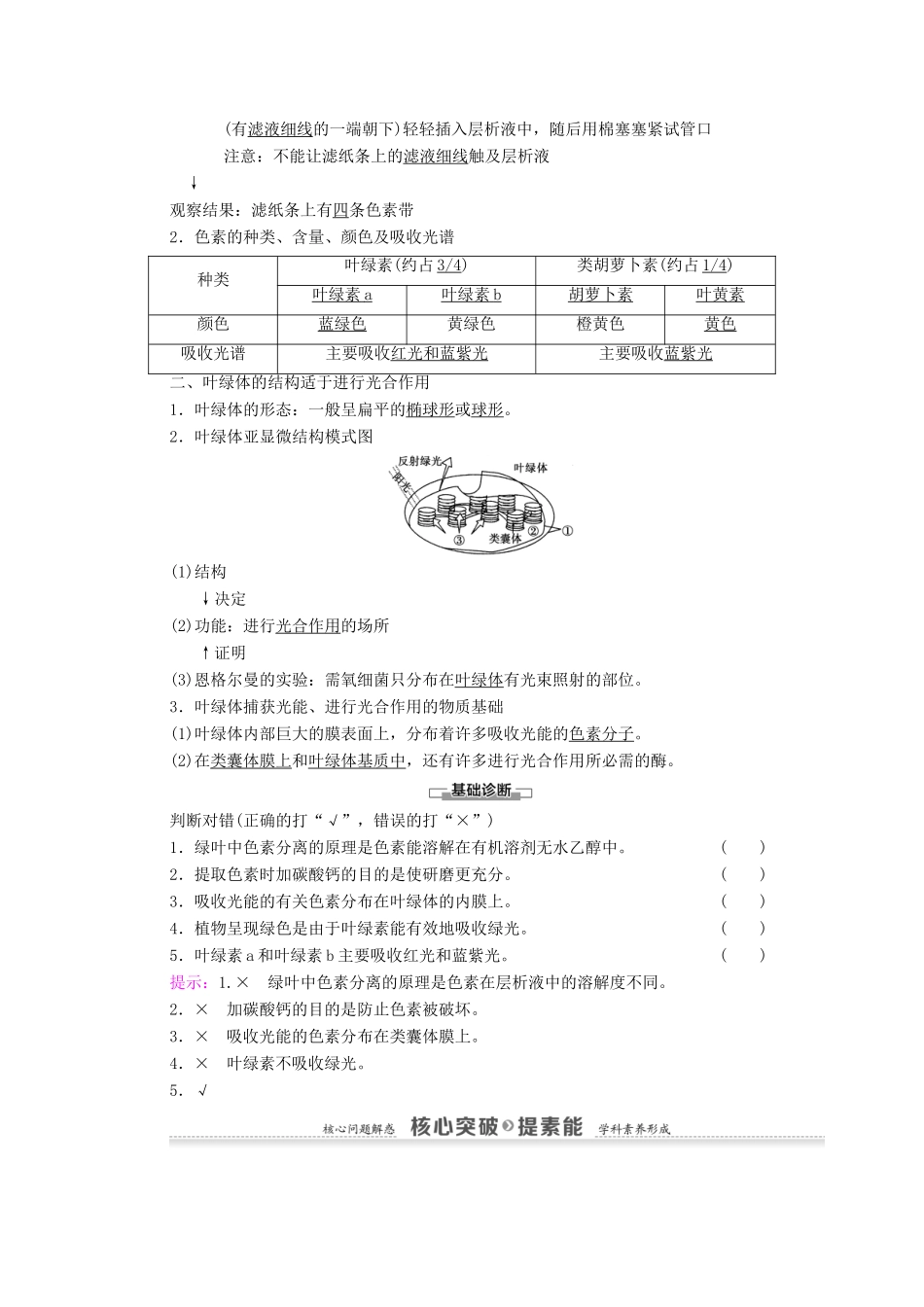 高中生物 第5章 细胞的能量供应和利用 第4节 第1课时 捕获光能的色素和结构学案 新人教版必修1-新人教版高中必修1生物学案_第2页