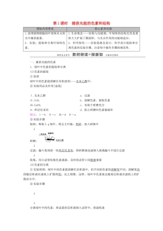 高中生物 第5章 细胞的能量供应和利用 第4节 第1课时 捕获光能的色素和结构学案 新人教版必修1-新人教版高中必修1生物学案