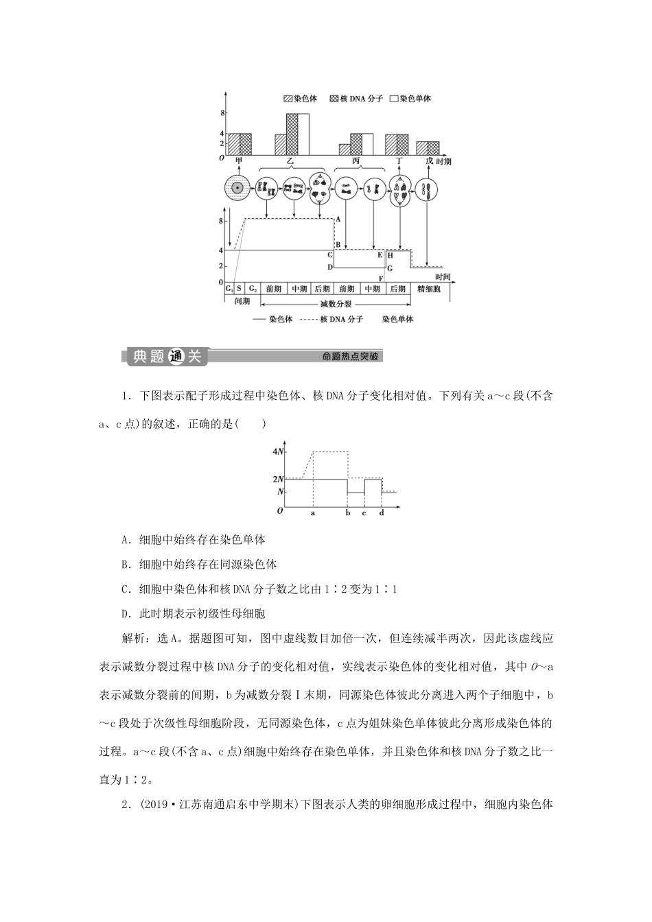 高中生物 第2章 基因和染色体的关系 第1节 减数分裂和受精作用（Ⅱ）（加强提升课）学案 新人教版必修第二册-新人教版高一第二册生物学案_第2页