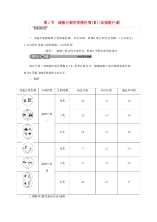 高中生物 第2章 基因和染色体的关系 第1节 减数分裂和受精作用（Ⅱ）（加强提升课）学案 新人教版必修第二册-新人教版高一第二册生物学案