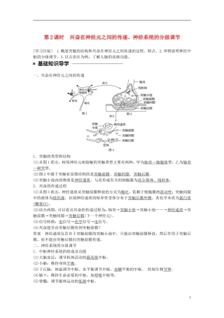 高中生物 第2章 动物和人体生命活动的调节 第1节 通过神经系统的调节 第2课时 兴奋在神经元之间的传递、神经系统的分级调节学案 新人教版必修3-新人教版高一必修3生物学案