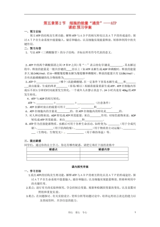 高中生物 《细胞的能量通货-ATP》导学案 新人教版必修1