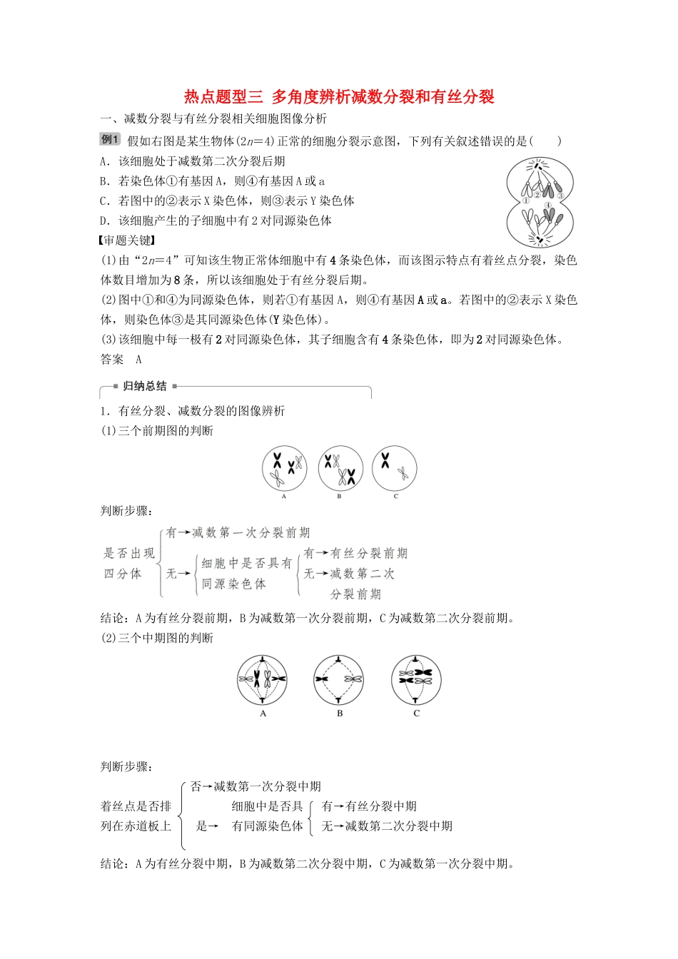 高考生物大一轮复习 热点题型三 多角度辨析减数分裂和有丝分裂学案-人教版高三全册生物学案_第1页