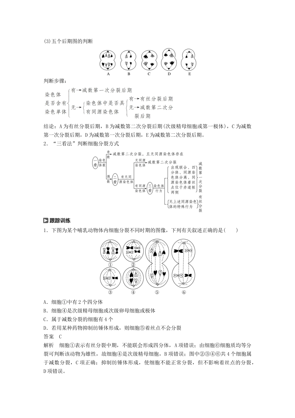 高考生物大一轮复习 热点题型三 多角度辨析减数分裂和有丝分裂学案-人教版高三全册生物学案_第2页
