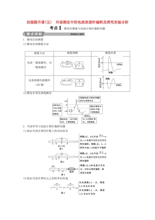 高考生物一轮复习 第八单元 生命活动的调节 加强提升课（五）兴奋测定中的电流表指针偏转及探究实验分析学案-人教版高三全册生物学案