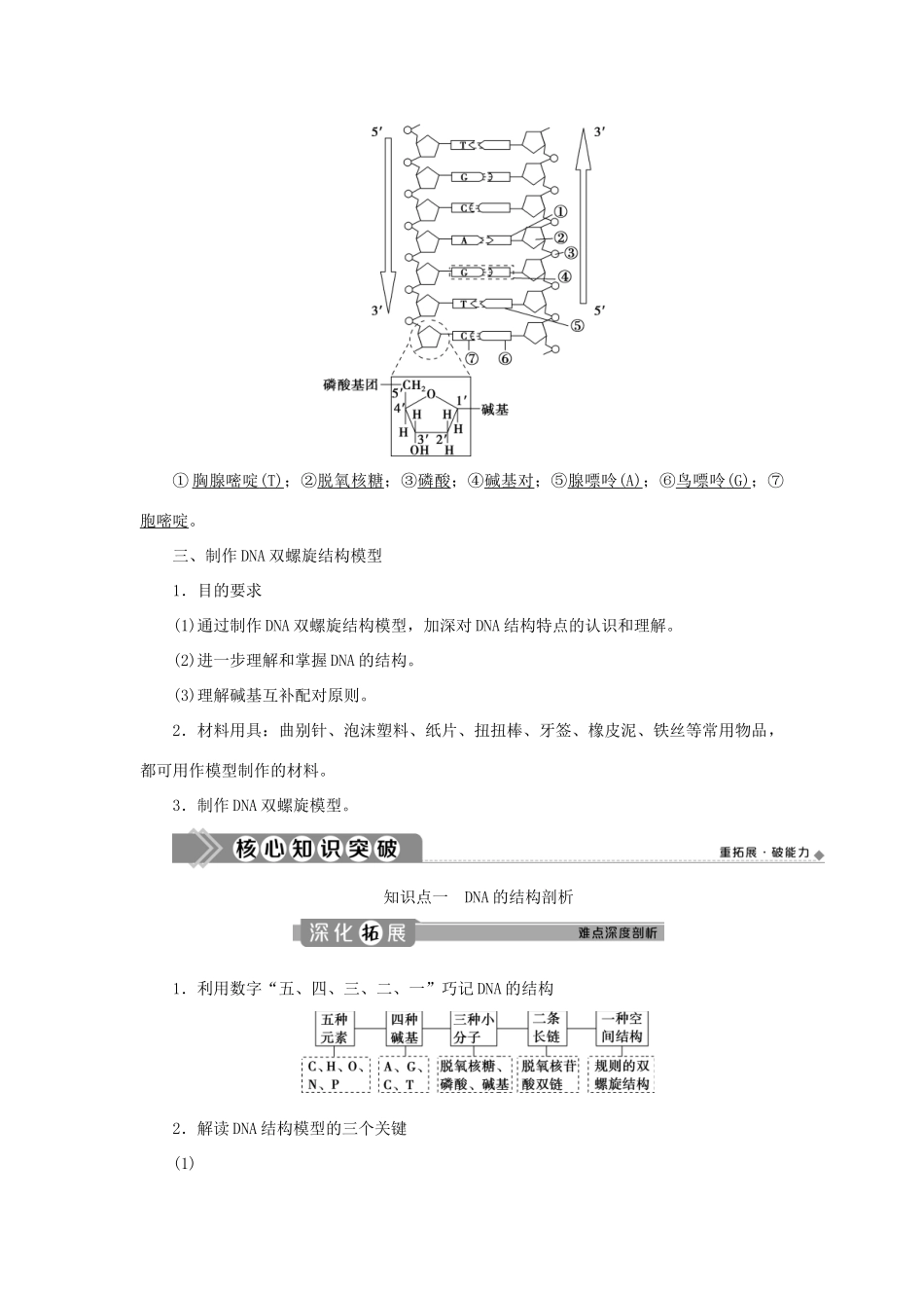 高中生物 第3章 基因的本质 第2节 DNA的结构学案 新人教版必修第二册-新人教版高一第二册生物学案_第2页