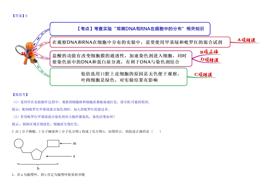 高中生物 1 2.3 遗传信息的携带者 核酸教材图解学案 新人教版必修1-新人教版高一必修1生物学案_第2页