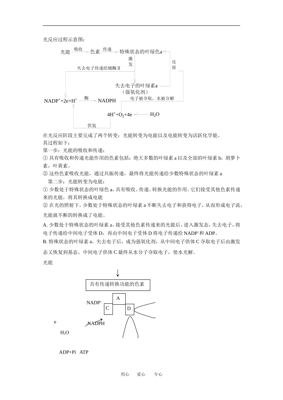 （新人教版必修1）生物：5.4《能量之源-光与光合作用》学案（2）_第3页