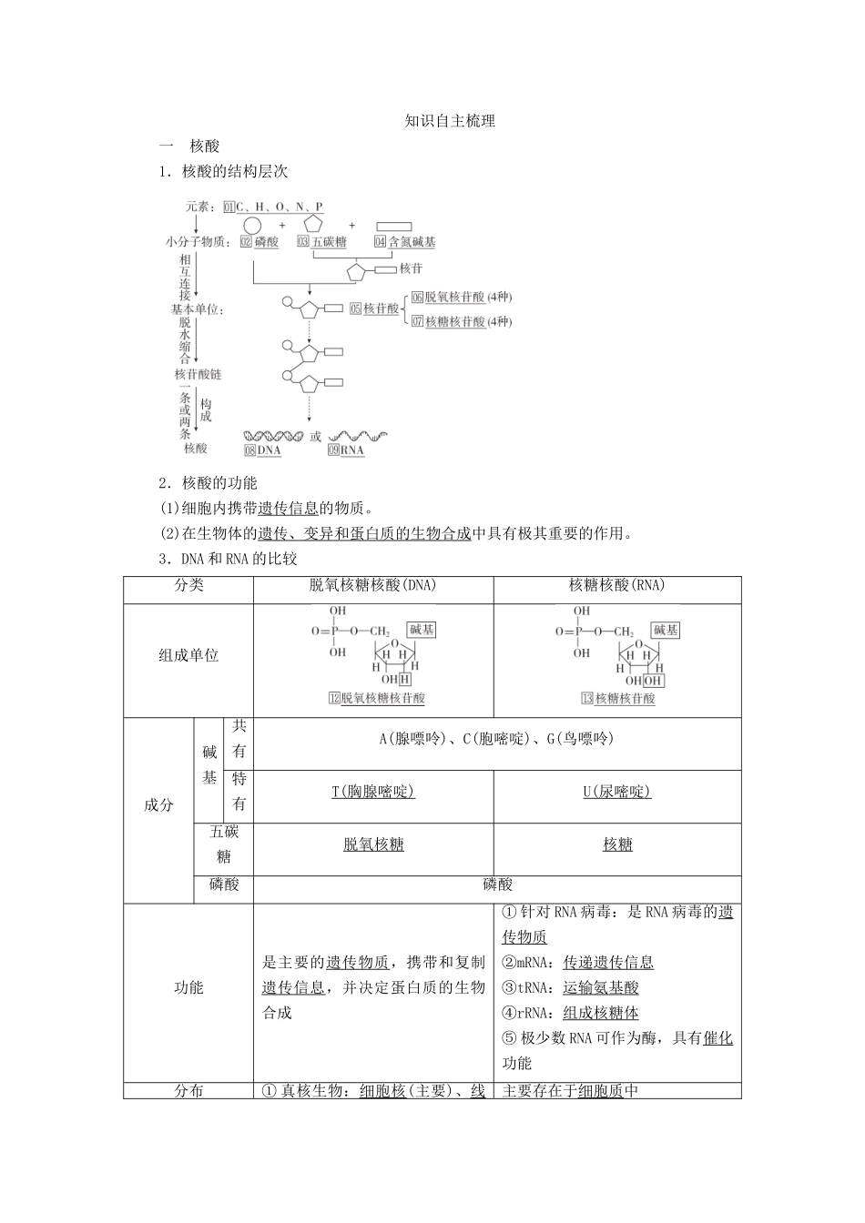 高考生物一轮复习 第1单元 走近细胞和组成细胞的分子 第4讲 核酸、糖类和脂质学案 新人教版必修1-新人教版高三必修1生物学案_第3页