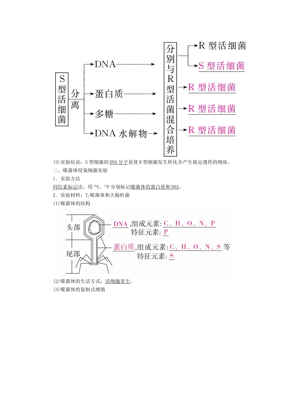 （全国版）高考生物一轮复习 第19讲 DNA是主要的遗传物质培优学案-人教版高三全册生物学案_第2页
