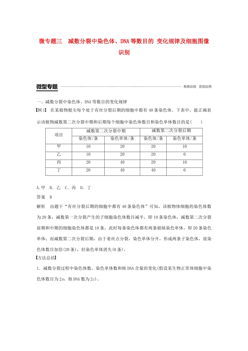 高中生物 第2章 基因和染色体的关系 微专题三 减数分裂中染色体、DNA等数目的变化规律及细胞图像识别学案 新人教版必修2-新人教版高一必修2生物学案_第1页