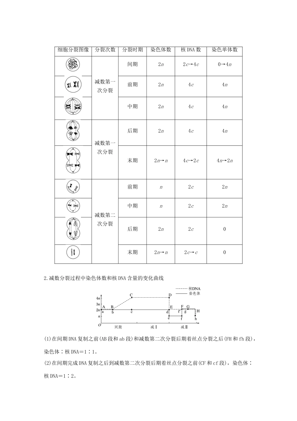 高中生物 第2章 基因和染色体的关系 微专题三 减数分裂中染色体、DNA等数目的变化规律及细胞图像识别学案 新人教版必修2-新人教版高一必修2生物学案_第2页