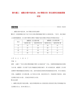 高中生物 第2章 基因和染色体的关系 微专题三 减数分裂中染色体、DNA等数目的变化规律及细胞图像识别学案 新人教版必修2-新人教版高一必修2生物学案