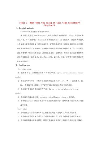 八年级英语上册 Unit 3 Our Hobbies Topic 3 What were you doing at this Section B教案 （新版）仁爱版
