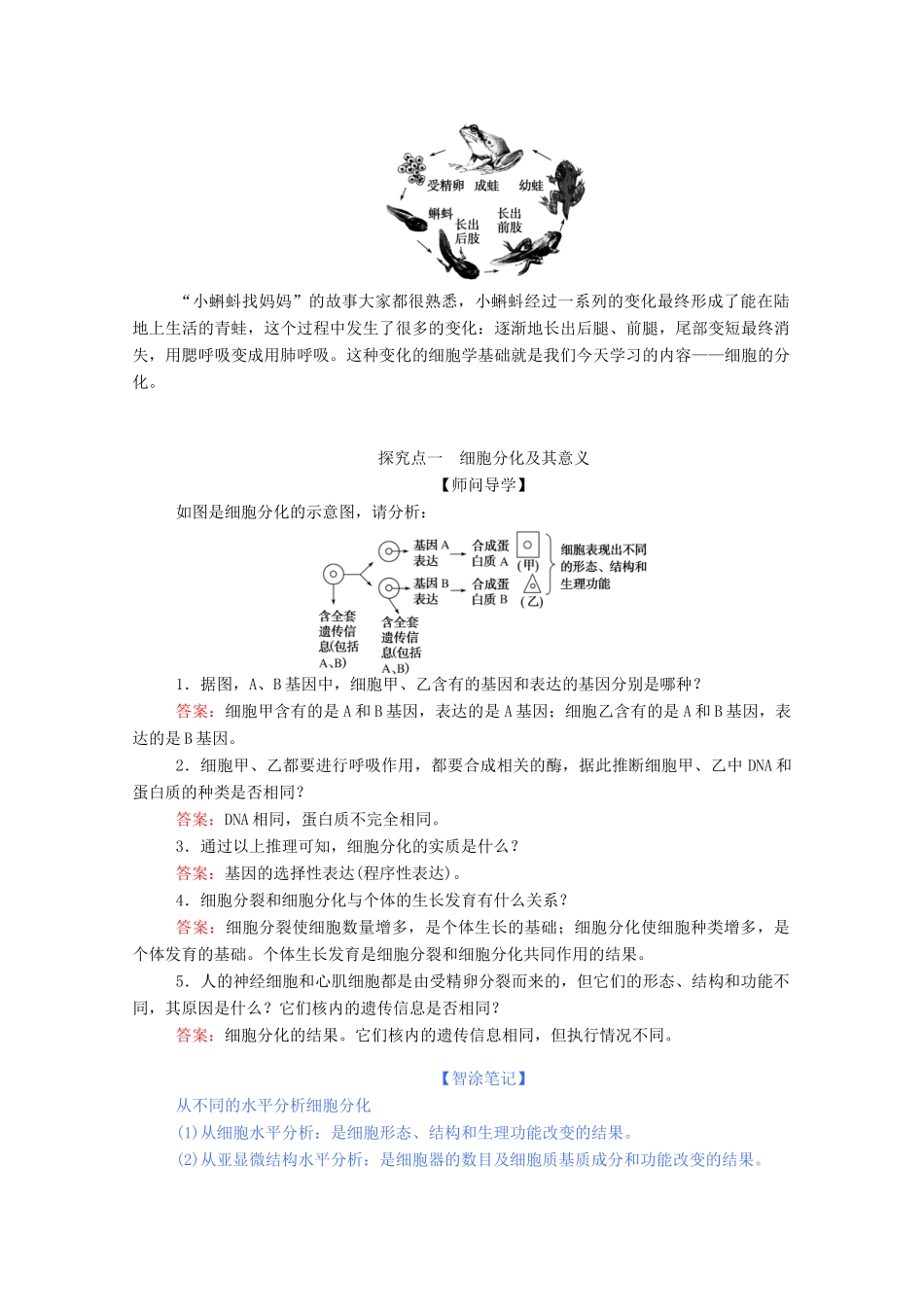 高中生物 6.2 细胞的分化学案 新人教版必修1-新人教版高中必修1生物学案_第3页