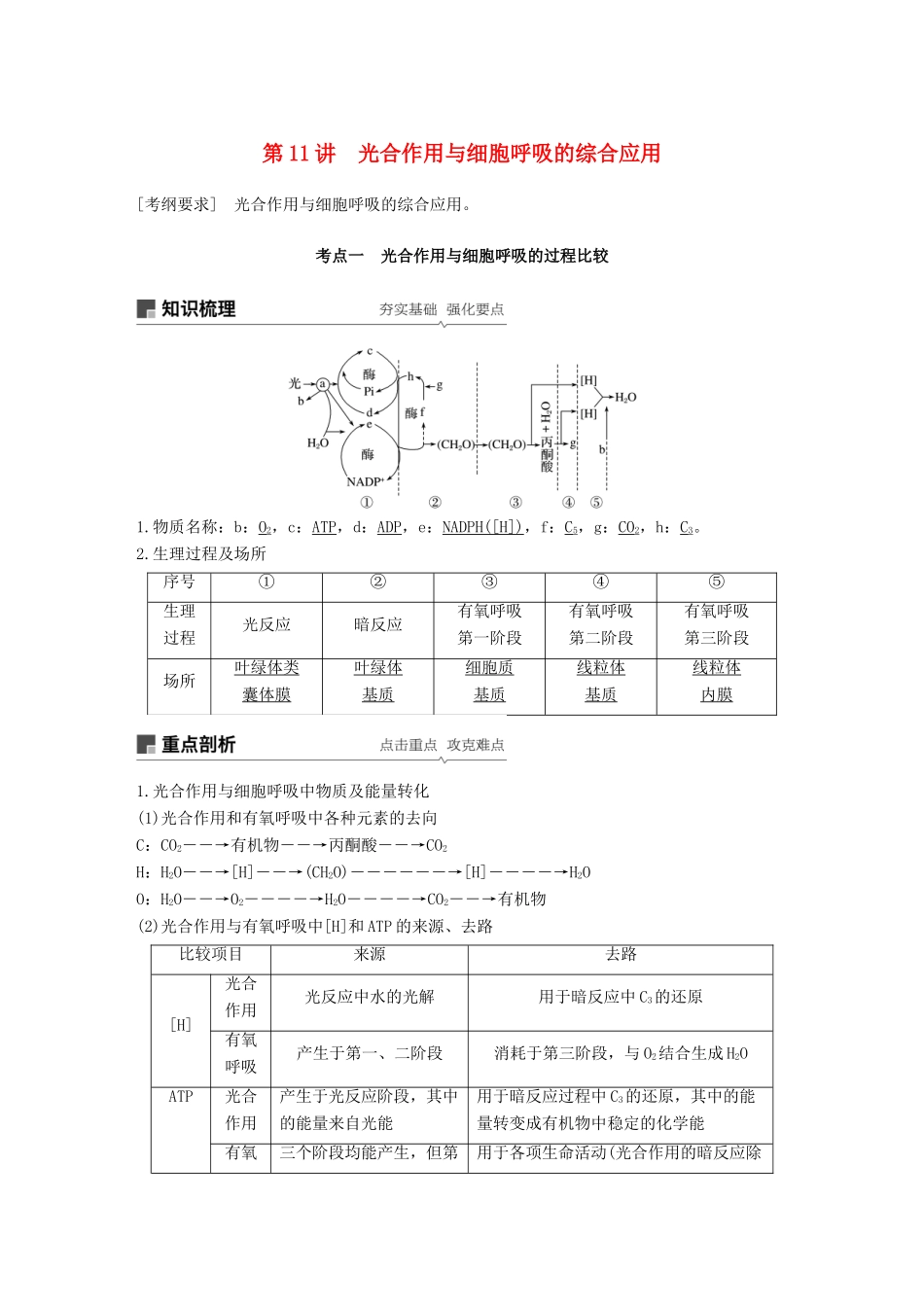 高考生物一轮复习 第三单元 光合作用和细胞呼吸 第11讲 光合作用与细胞呼吸的综合应用备考一体学案 苏教版-苏教版高三全册生物学案_第1页