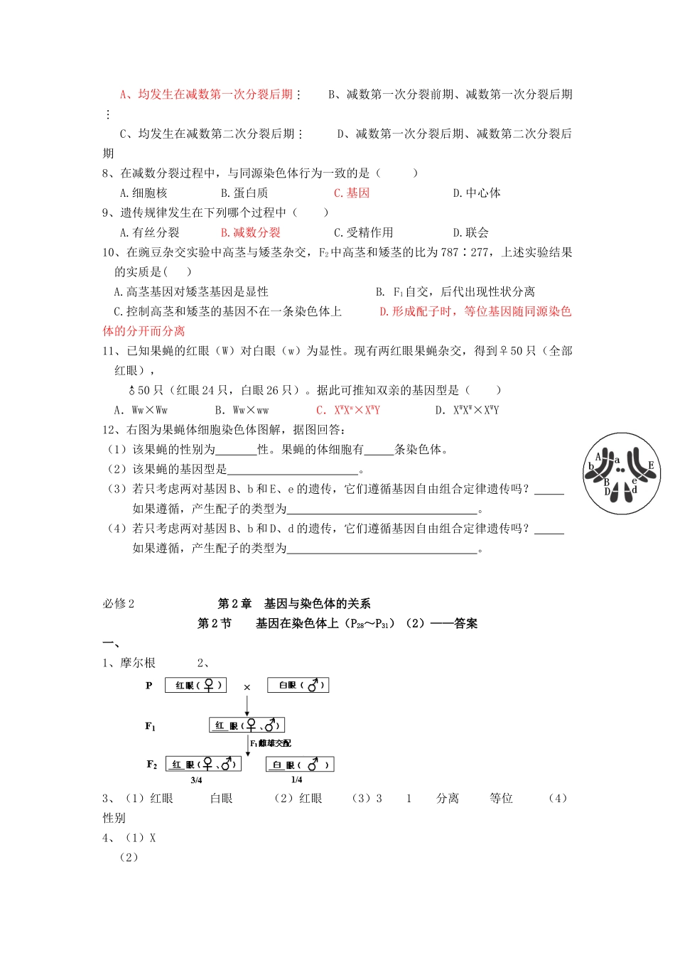 高中生物 第2章 基因和染色体的关系 第2节 基因在染色体上（2）导学案 新人教版必修2-新人教版高一必修2生物学案_第3页