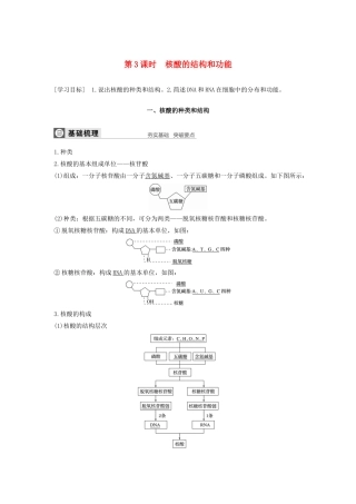 高中生物 第2章 细胞的化学组成 第二节 第3课时 核酸的结构和功能学案 苏教版必修1-苏教版高中必修1生物学案