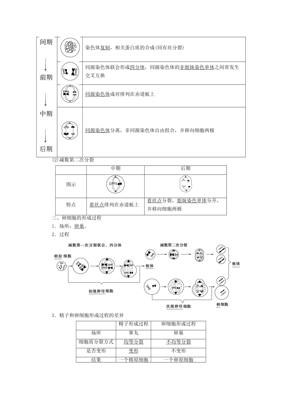 高中生物 第2章 基因和染色体的关系 第1节 第1课时 减数分裂学案 新人教版必修2-新人教版高中必修2生物学案_第2页