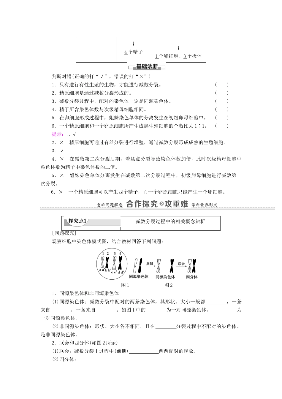 高中生物 第2章 基因和染色体的关系 第1节 第1课时 减数分裂学案 新人教版必修2-新人教版高中必修2生物学案_第3页
