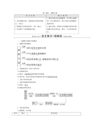高中生物 第2章 基因和染色体的关系 第1节 第1课时 减数分裂学案 新人教版必修2-新人教版高中必修2生物学案