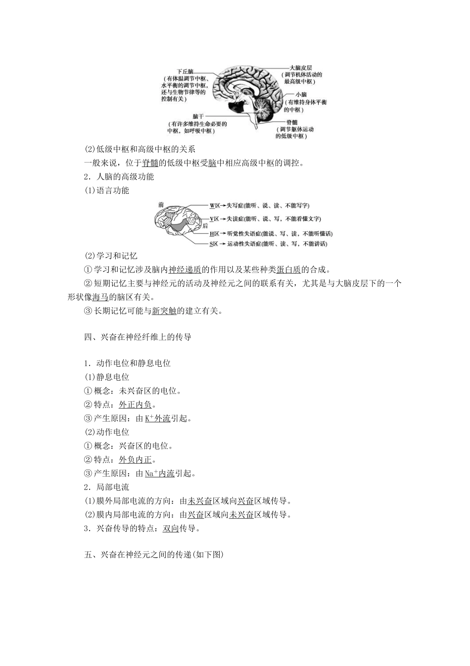 高考生物一轮复习 第八单元 生命活动的调节 第二讲 通过神经系统的调节学案 新人教版-新人教版高三全册生物学案_第2页