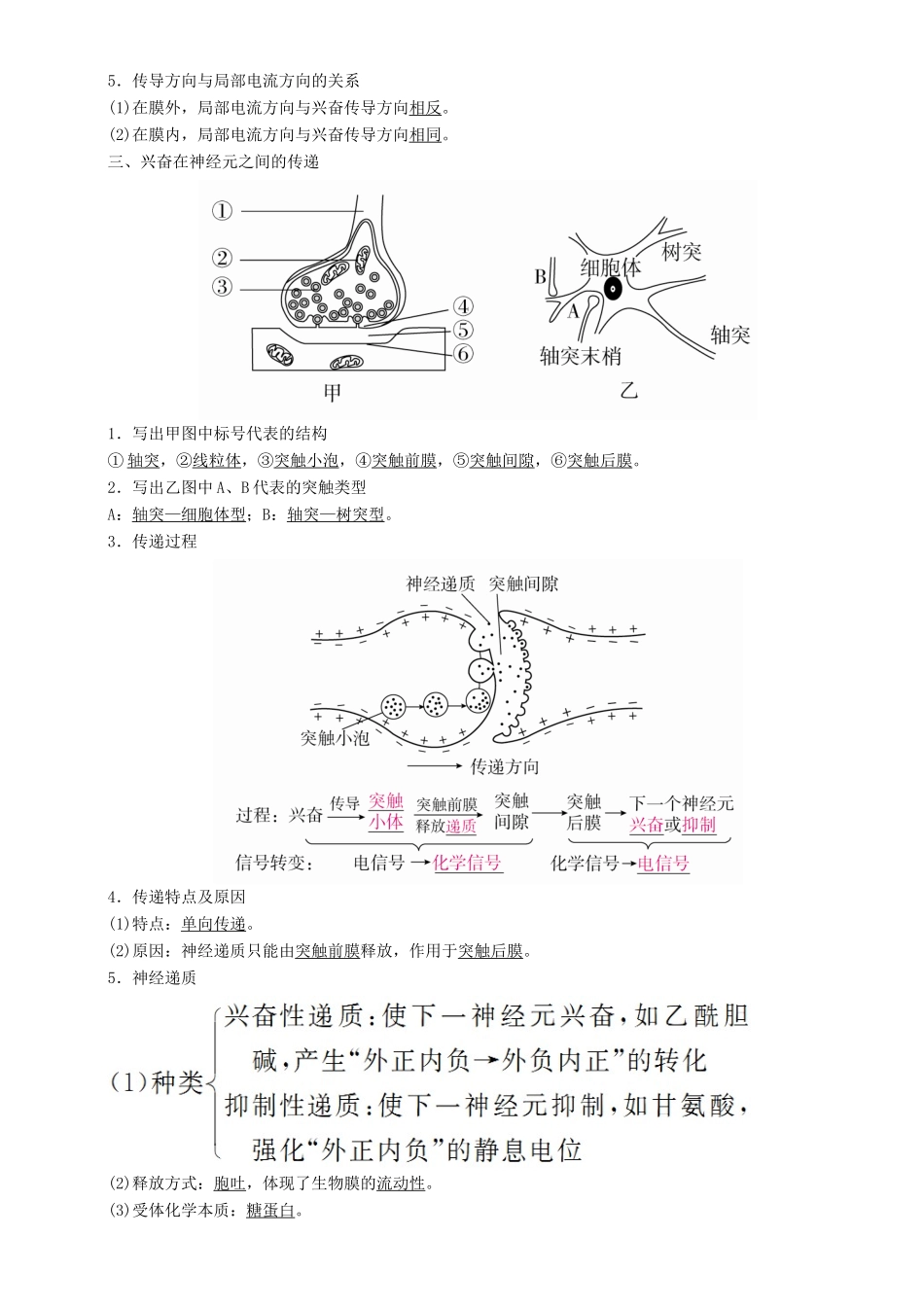 高考生物一轮复习 第26讲 通过神经系统的调节讲练结合学案-人教版高三全册生物学案_第2页