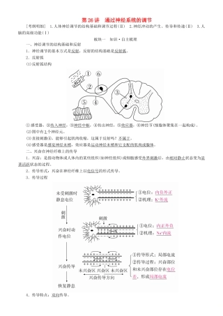 高考生物一轮复习 第26讲 通过神经系统的调节讲练结合学案-人教版高三全册生物学案