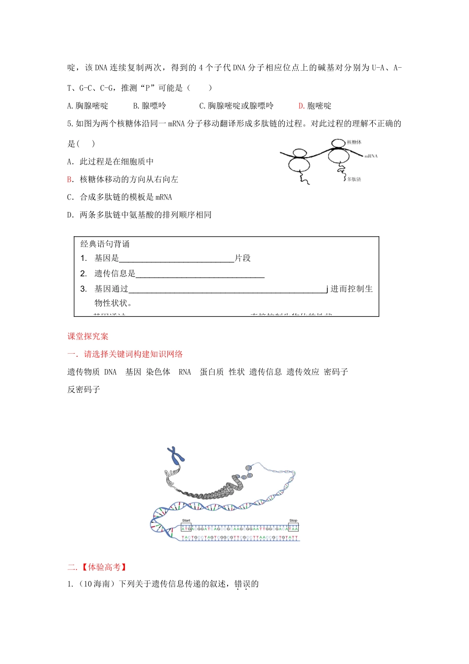 高三生物 遗传的物质基础导学案-人教版高三全册生物学案_第3页