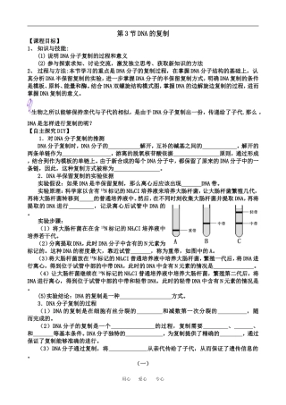 3.3DNA的复制