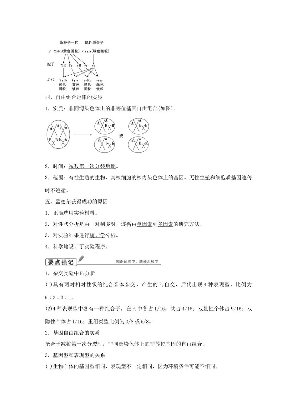 高考生物总复习 第5单元 第15讲孟德尔的豌豆杂交实验学案-人教版高三全册生物学案_第2页