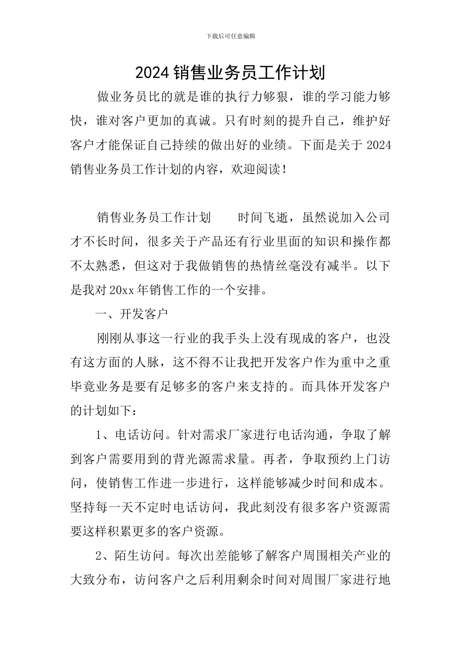 2024销售业务员工作计划_第1页