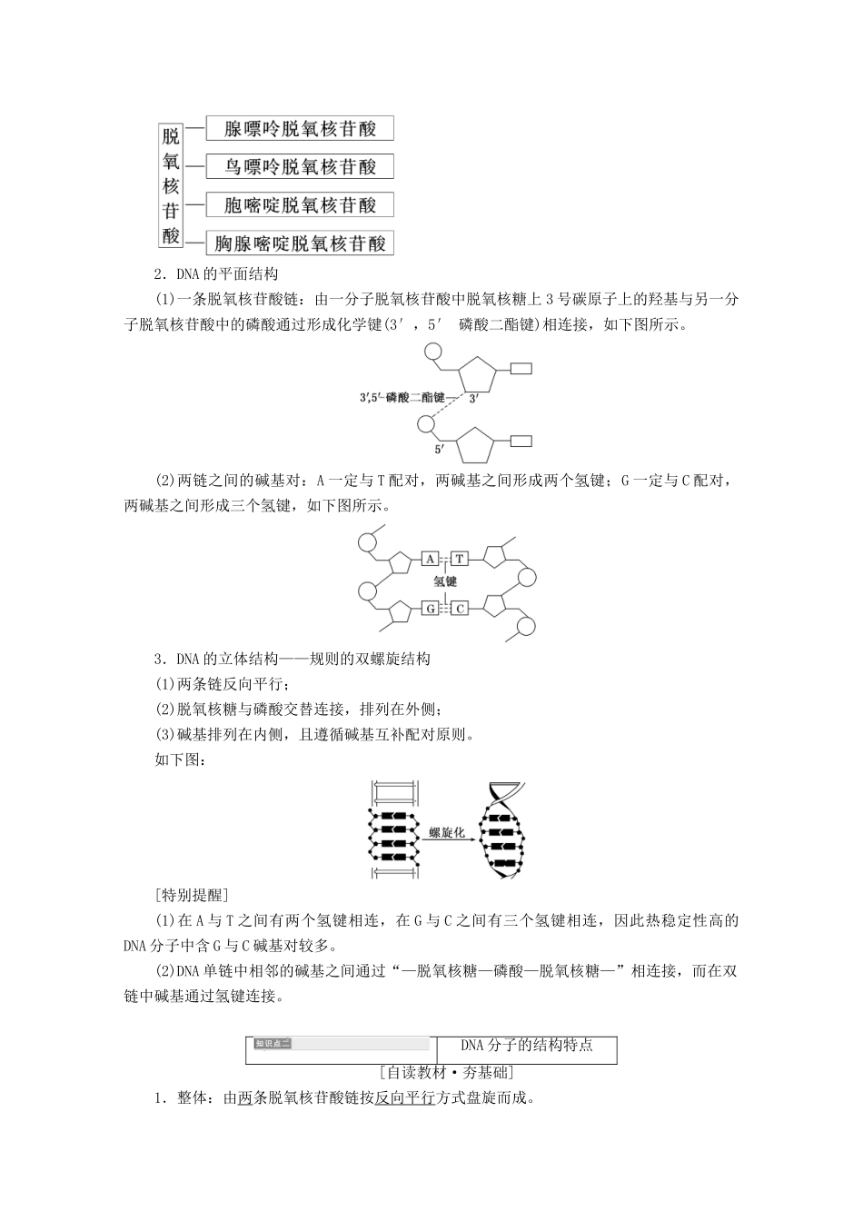 高中生物 第3章 基因的本质 第2节 DNA分子的结构学案 新人教版必修2-新人教版高一必修2生物学案_第3页