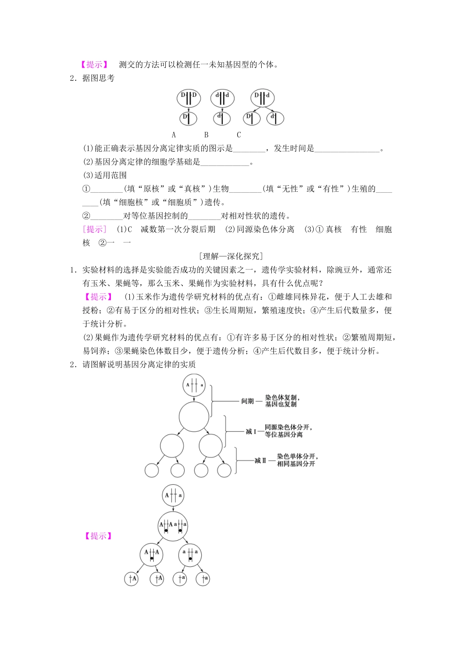 （全国版）高考生物一轮复习 第5单元 遗传定律和伴性遗传 第1讲 孟德尔的豌豆杂交实验(一)学案-人教版高三全册生物学案_第3页