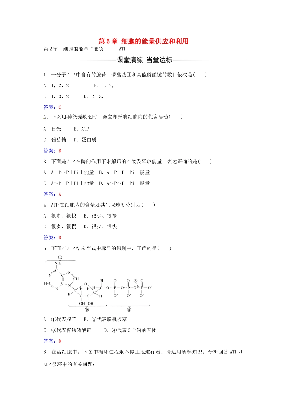高中生物 第5章 第2节 细胞的能量“通货”ATP练习 新人教版必修1-新人教版高一必修1生物学案_第1页