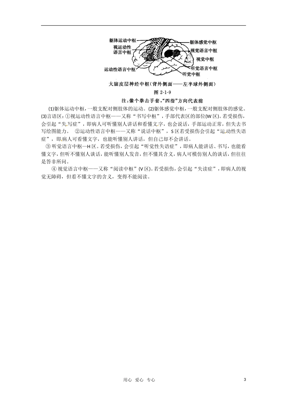 高中生物 2.1《通过神经系统的调节》学案 新人教版必修3_第3页