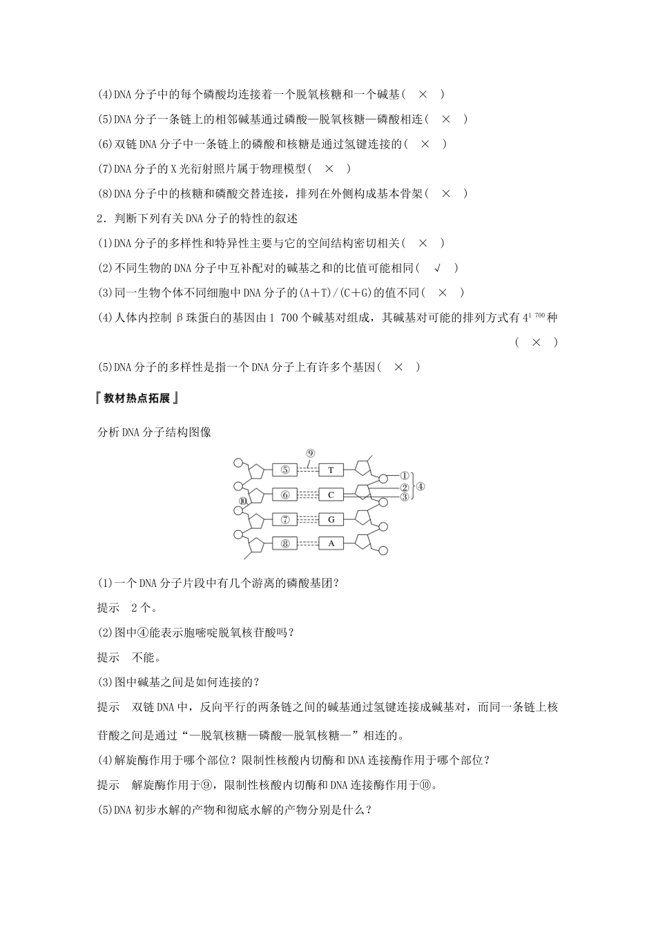 高考生物大一轮复习 第六单元 遗传的分子基础 第18讲 DNA分子的结构、复制及基因的本质学案-人教版高三全册生物学案_第2页