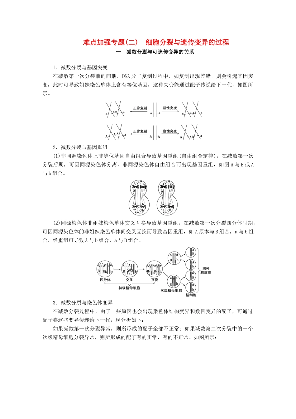 （新高考）高考生物一轮复习 难点加强专题（二）细胞分裂与遗传变异的过程学案 新人教版-新人教版高三全册生物学案_第1页