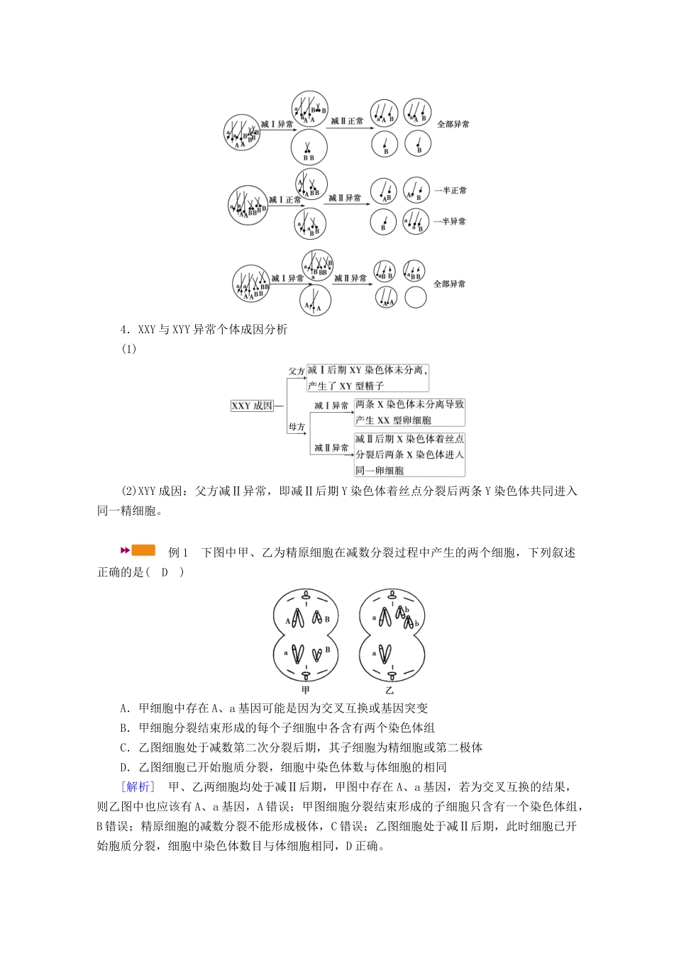 （新高考）高考生物一轮复习 难点加强专题（二）细胞分裂与遗传变异的过程学案 新人教版-新人教版高三全册生物学案_第2页