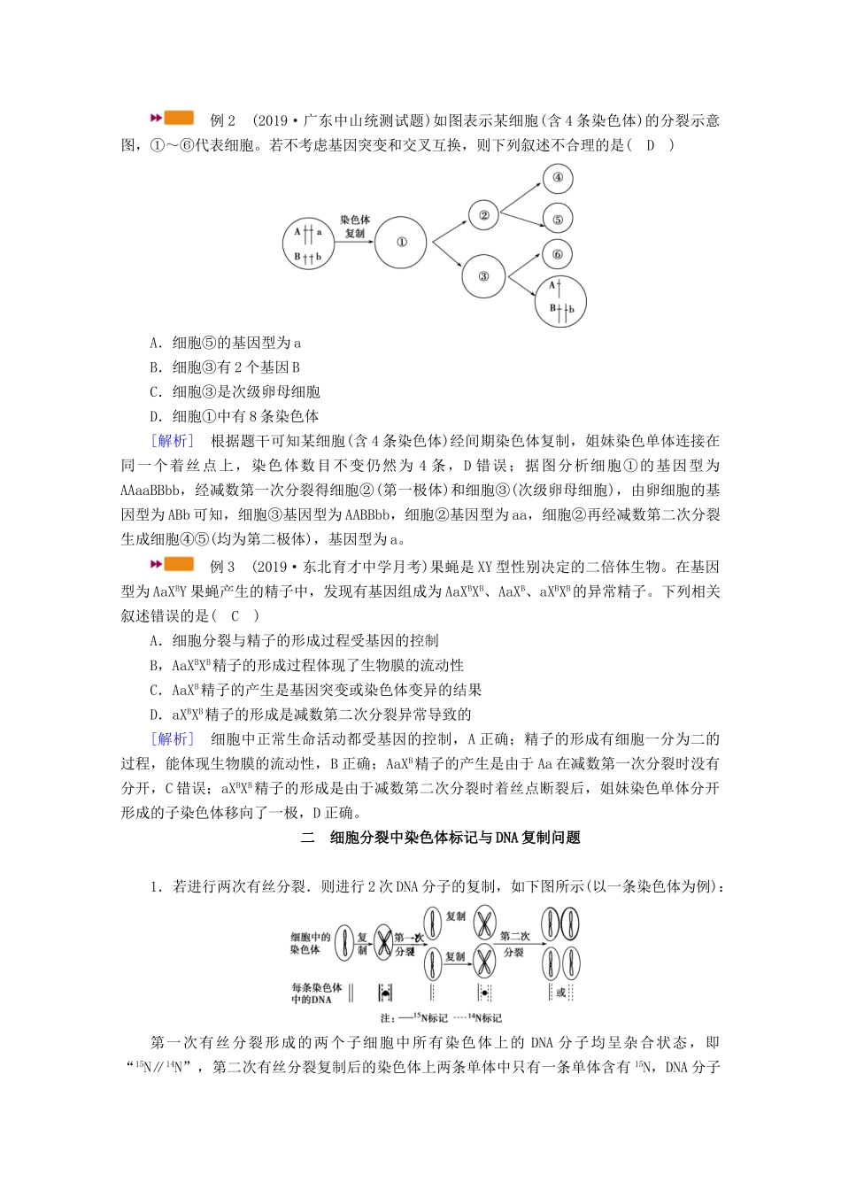 （新高考）高考生物一轮复习 难点加强专题（二）细胞分裂与遗传变异的过程学案 新人教版-新人教版高三全册生物学案_第3页