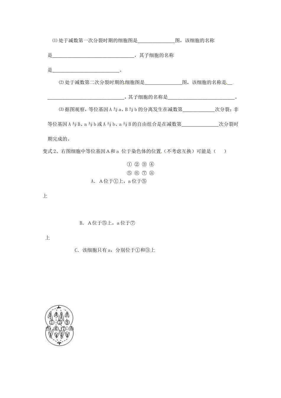 高考生物 细胞分裂学案-人教版高三全册生物学案_第3页