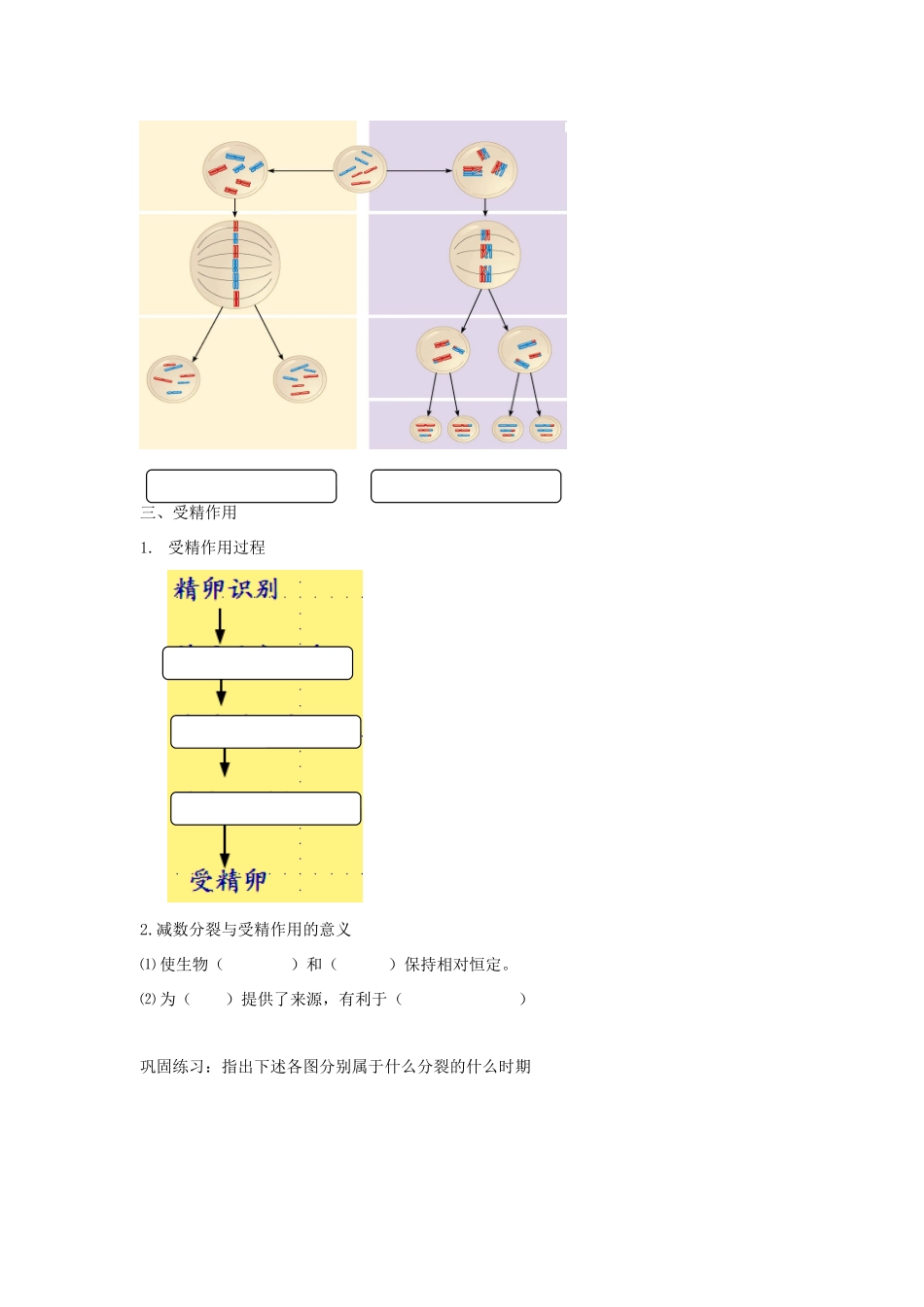 高考生物专题复习 5减数分裂和受精作用（二）减数分裂学案-人教版高三全册生物学案_第2页