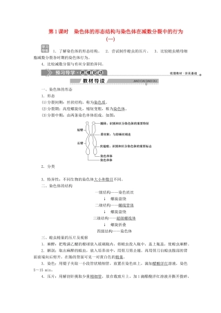 高中生物 第2章 遗传信息传递的结构基础 第1节 染色体是遗传信息的载体 第1课时 染色体的形态结构与染色体在减数分裂中的行为（一）学案 北师大版必修2-北师大版高一必修2生物学案