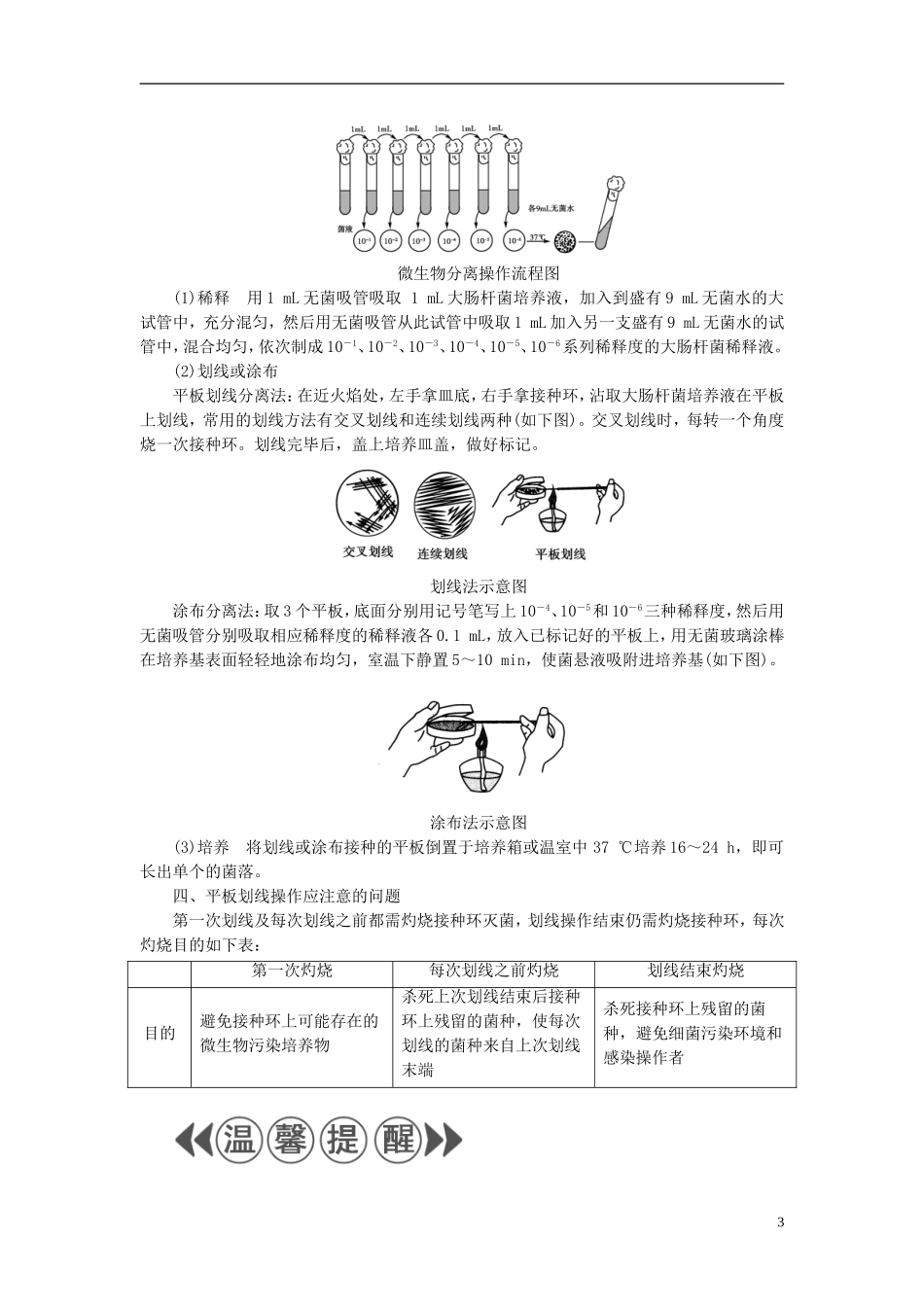 高中生物 第1章 微生物培养技术 第1节 微生物的分离和纯培养学案 中图版选修1-中图版高二选修1生物学案_第3页
