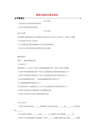 高中生物 5.4.1 捕获光能的色素和结构学案（含解析）新人教版必修1-新人教版高中必修1生物学案