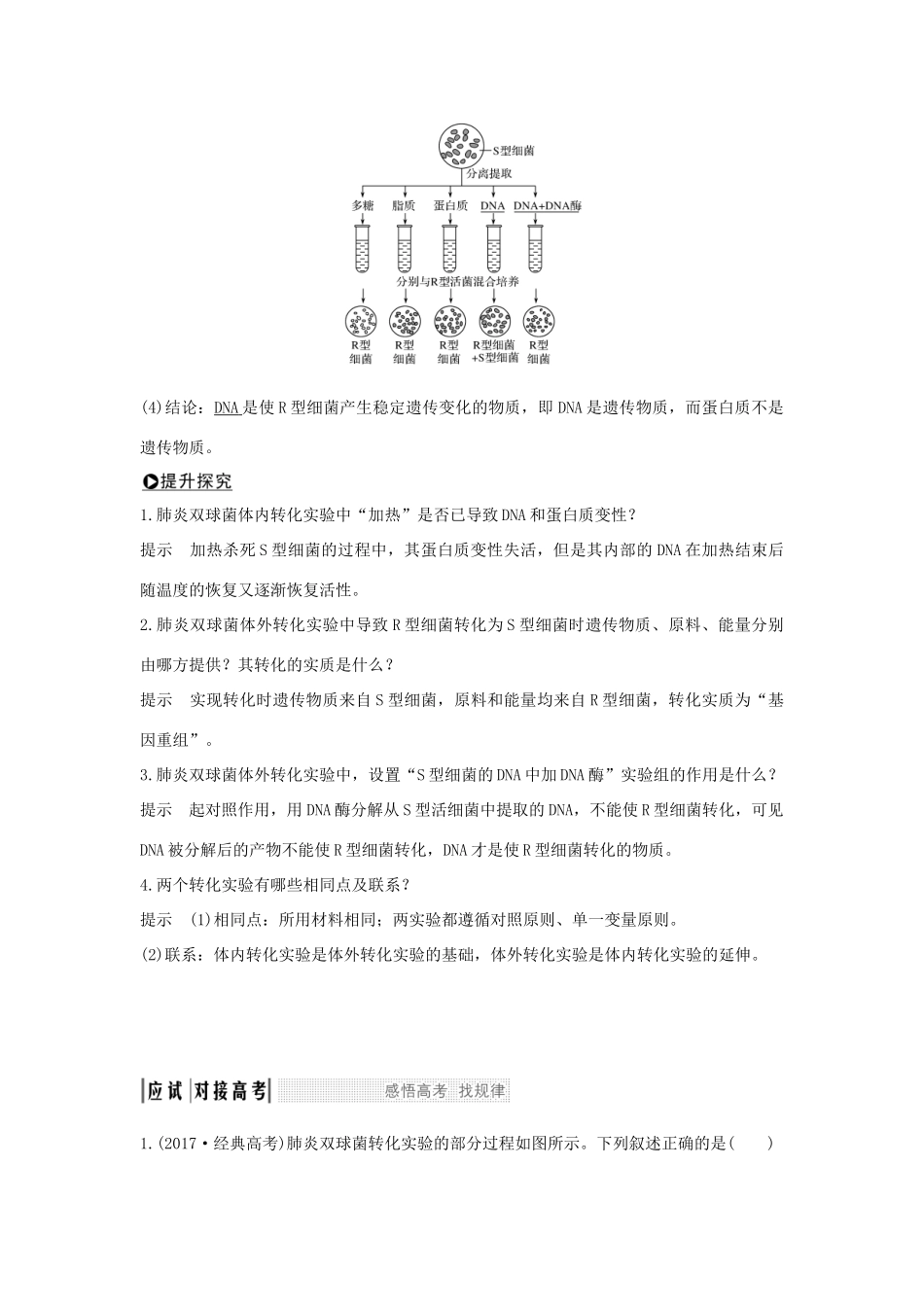 高考生物一轮复习 第六单元 遗传的分子基础 第17讲 人类对遗传物质的探索过程学案-人教版高三全册生物学案_第2页